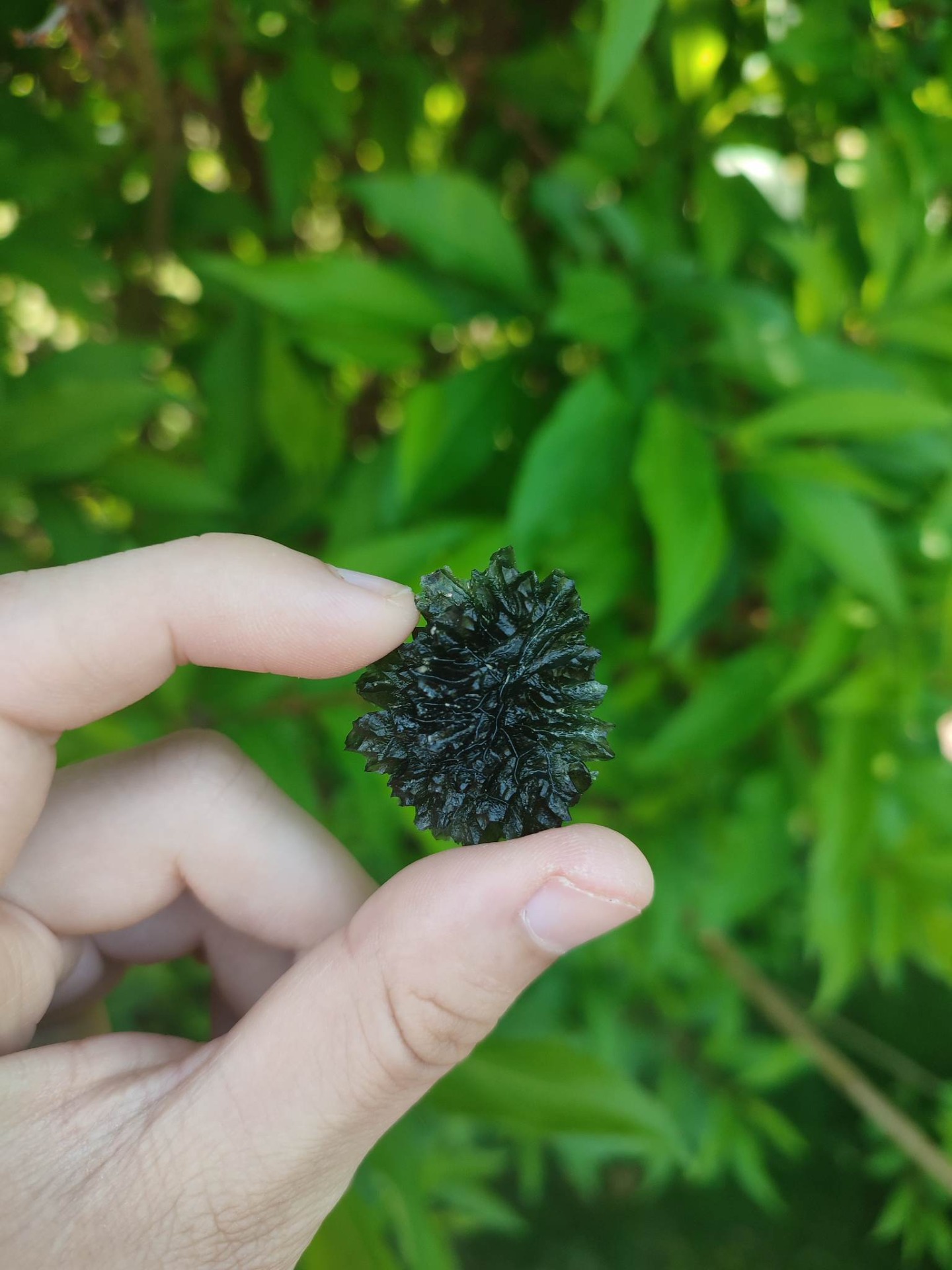 10 grams, Besednice - ježkovna