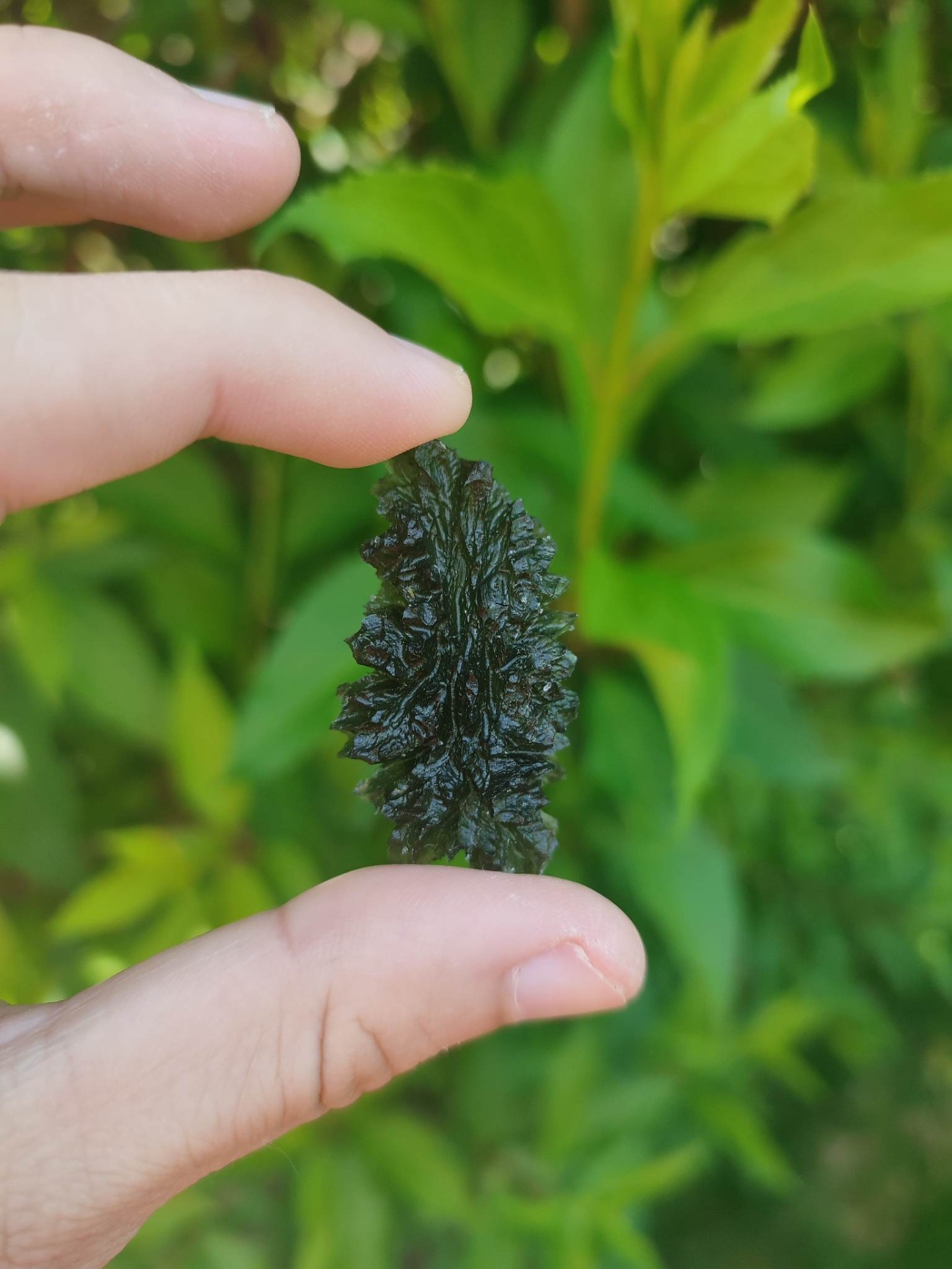 9 grams, Besednice - ježkovna